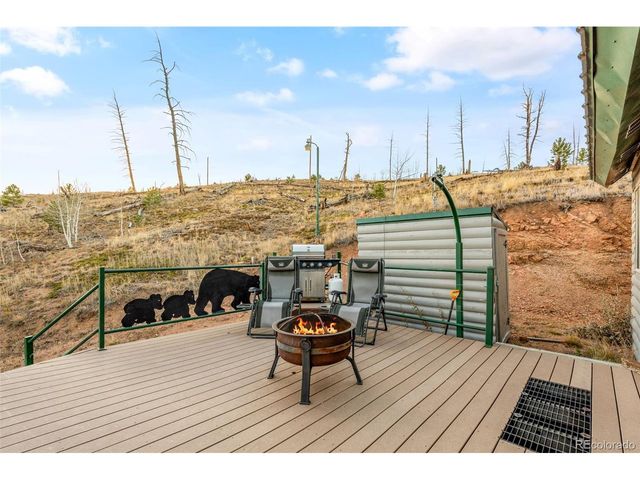 3631 Cr 33 Dr 33, Florissant, CO 80816