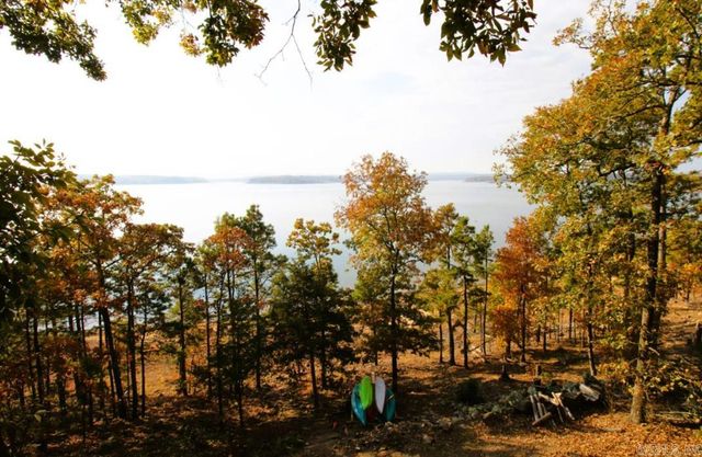 24 Roberts Road, Edgemont, AR 72044