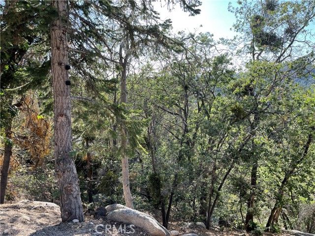 23 Lot 23 Music Camp Road, Los Angeles, CA 92382