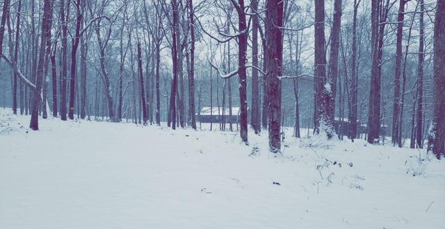 1300 Ridge Rd, Dickson, TN 37055