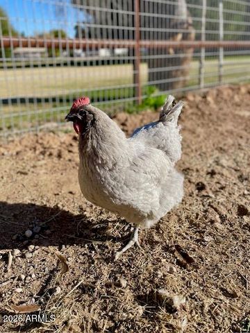 19103 E VIA DE ARBOLES --, Queen Creek, AZ 85142