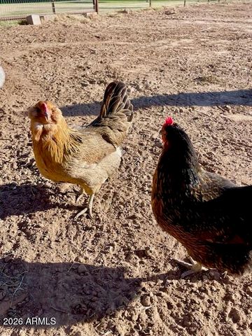 19103 E VIA DE ARBOLES --, Queen Creek, AZ 85142