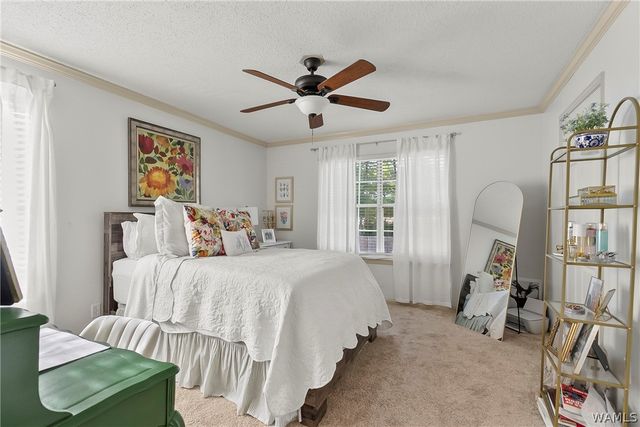 120 15th 915, Tuscaloosa, AL 35401