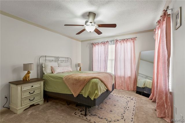 120 15th 915, Tuscaloosa, AL 35401
