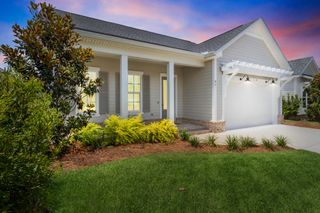 91 Bunting Lane, Inlet Beach, FL 32461