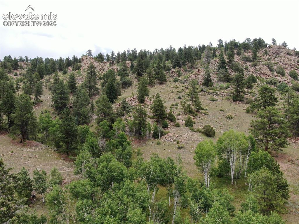 76 Crocus Circle, Florissant, CO 80816 — exterior