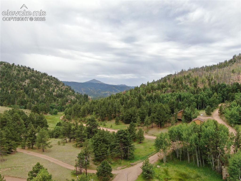 76 Crocus Circle, Florissant, CO 80816 — photo 5