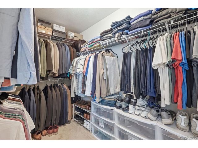 4204 Paddock Dr, Wellington, CO 80549