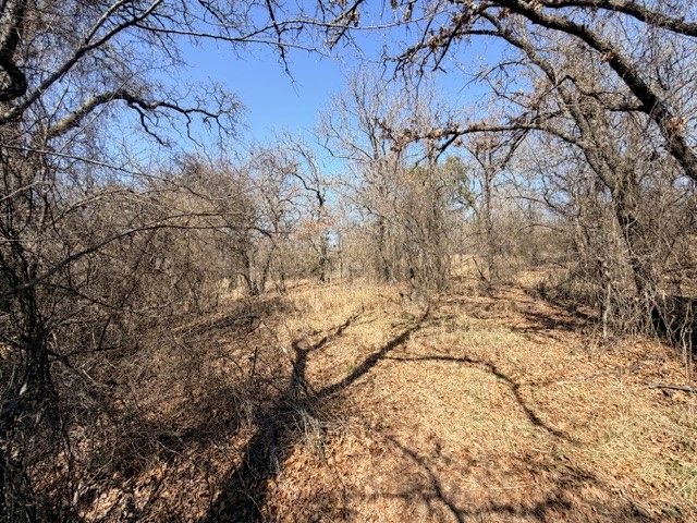 321 Sandpiper Drive, Weatherford, TX 76088