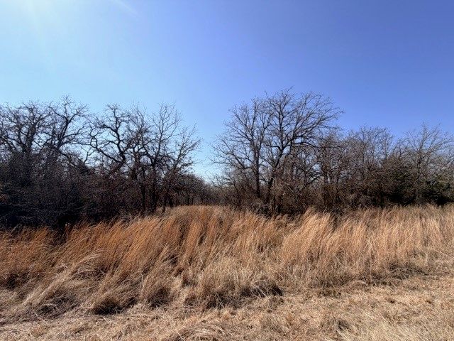 321 Sandpiper Drive, Weatherford, TX 76088