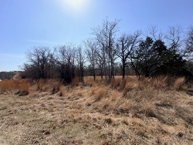 321 Sandpiper Drive, Weatherford, TX 76088