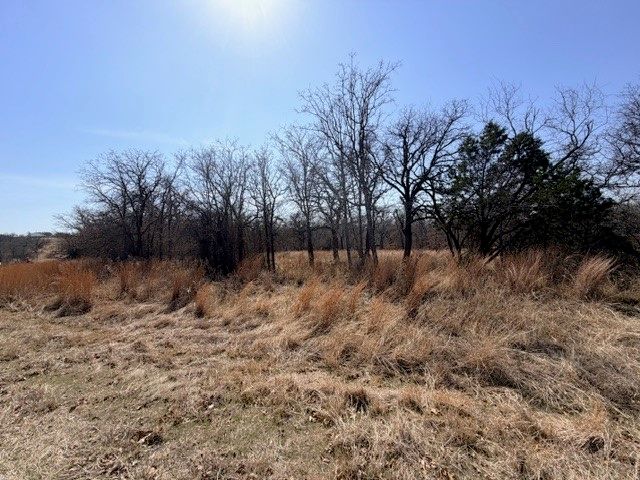 321 Sandpiper Drive, Weatherford, TX 76088