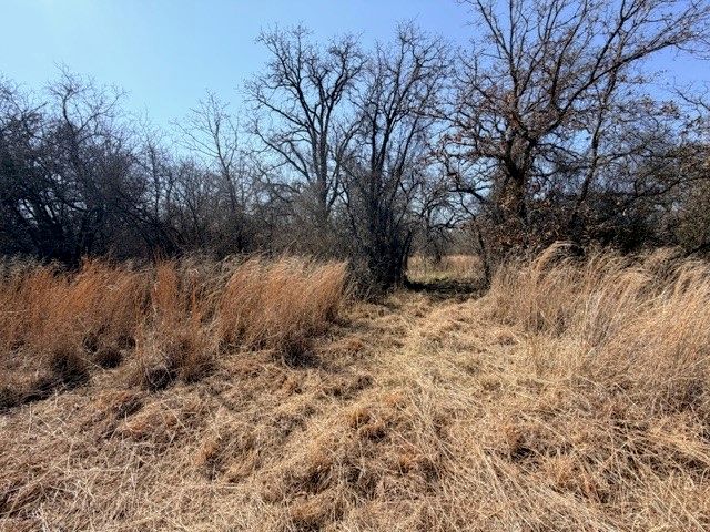 321 Sandpiper Drive, Weatherford, TX 76088