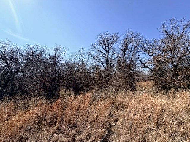 321 Sandpiper Drive, Weatherford, TX 76088