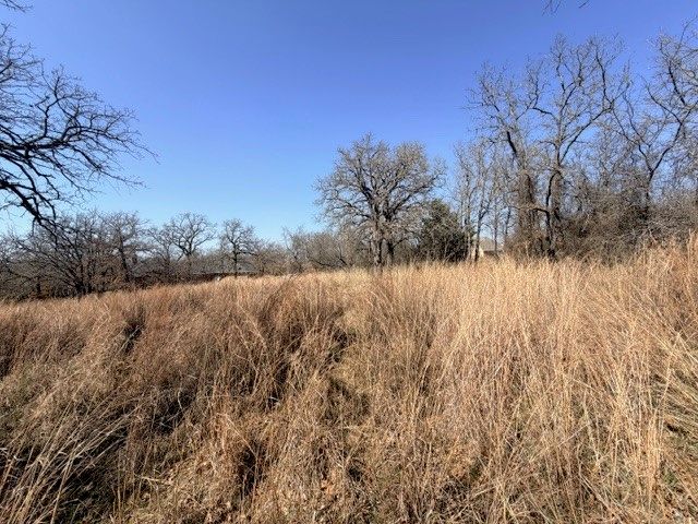 321 Sandpiper Drive, Weatherford, TX 76088