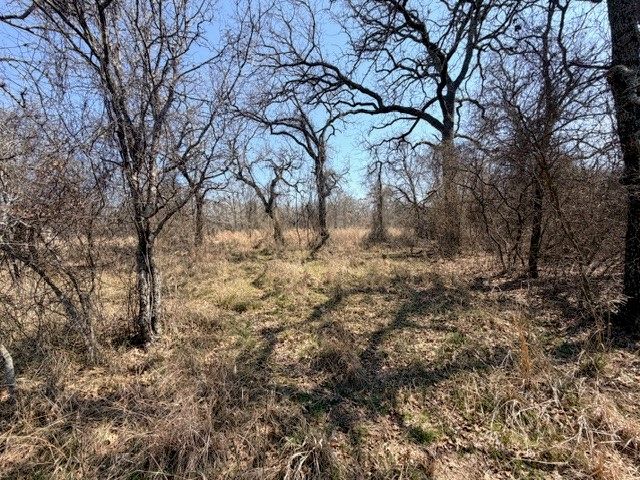 321 Sandpiper Drive, Weatherford, TX 76088