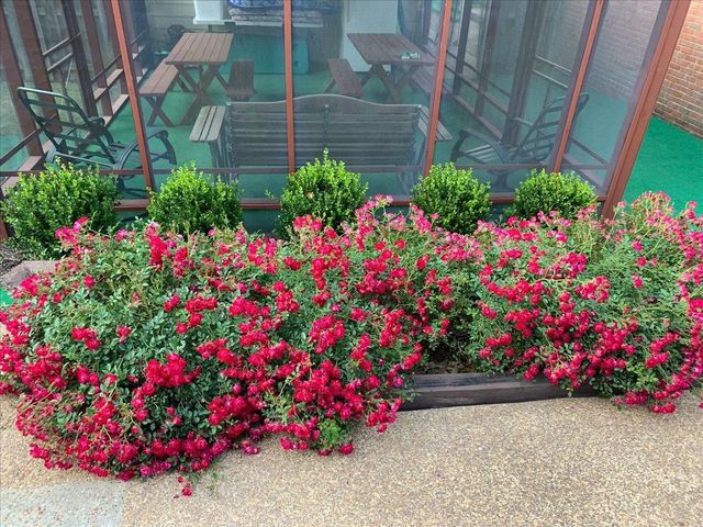 2587 MCVAY RD, Memphis, TN 38119