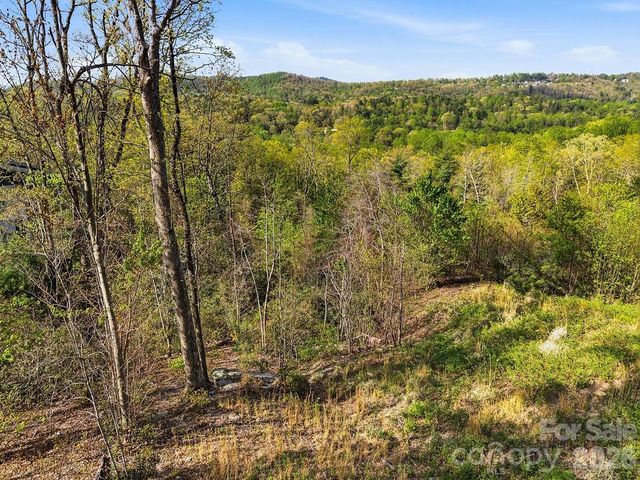 325 Curtain Bluff W9, Hendersonville, NC 28791