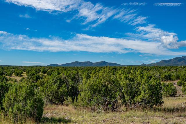 95 Grenfell Ranch, Cerrillos, NM 87010
