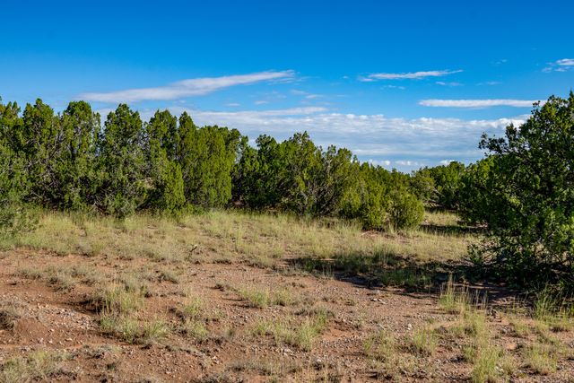 95 Grenfell Ranch, Cerrillos, NM 87010