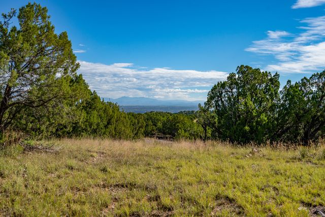 95 Grenfell Ranch, Cerrillos, NM 87010