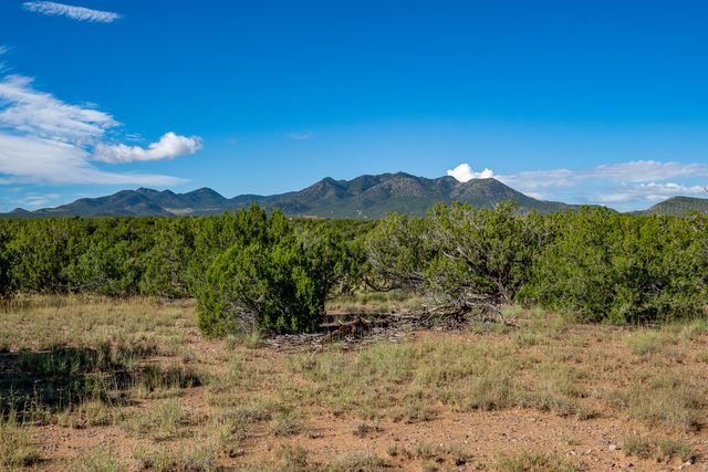 95 Grenfell Ranch, Cerrillos, NM 87010