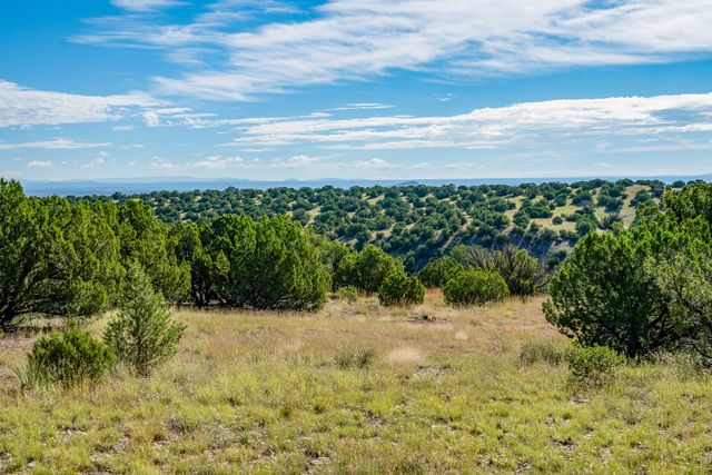 95 Grenfell Ranch, Cerrillos, NM 87010