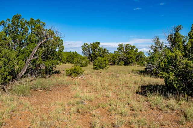 95 Grenfell Ranch, Cerrillos, NM 87010