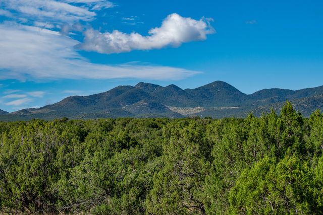 95 Grenfell Ranch, Cerrillos, NM 87010