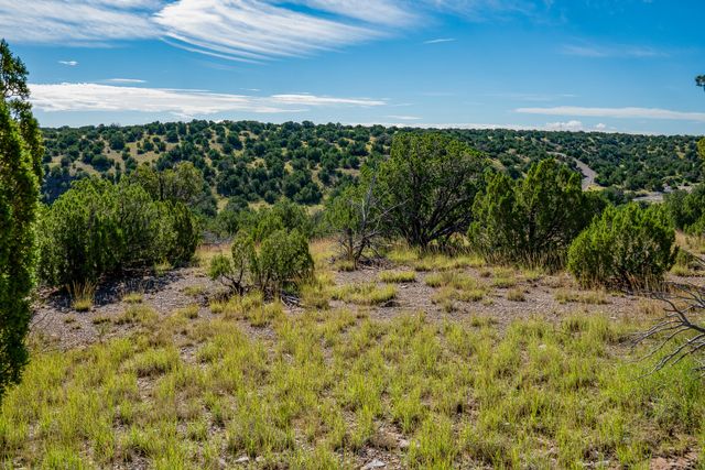 95 Grenfell Ranch, Cerrillos, NM 87010