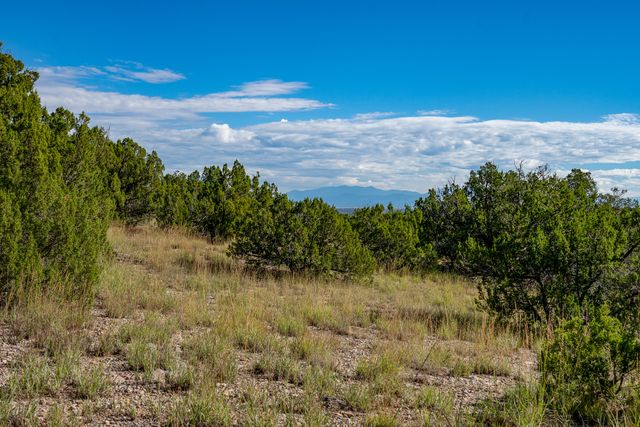 95 Grenfell Ranch, Cerrillos, NM 87010