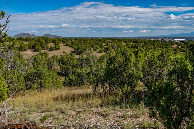 95 Grenfell Ranch, Cerrillos, NM 87010
