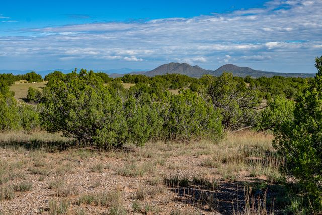 95 Grenfell Ranch, Cerrillos, NM 87010