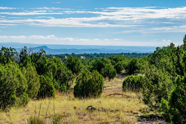 95 Grenfell Ranch, Cerrillos, NM 87010
