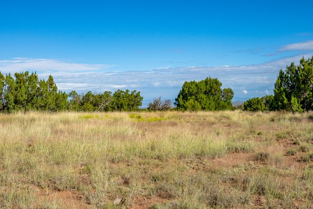 95 Grenfell Ranch, Cerrillos, NM 87010
