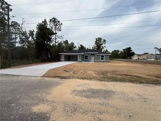 3 GUAVA PLACE DRIVE, Ocklawaha, FL 32179