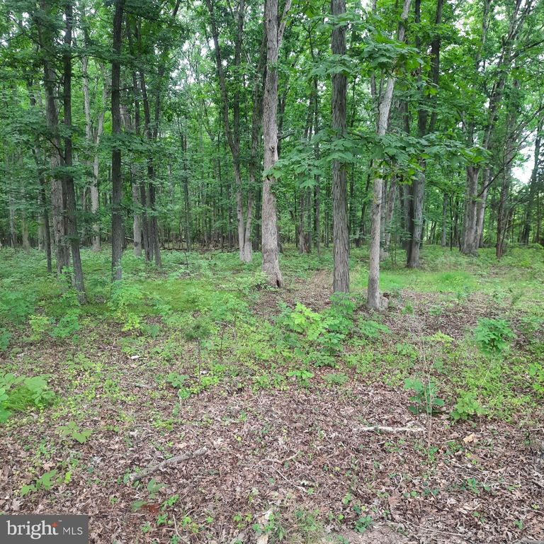 20 IRON BRIDGE RD, PIPERSVILLE, PA 18947 — photo 2