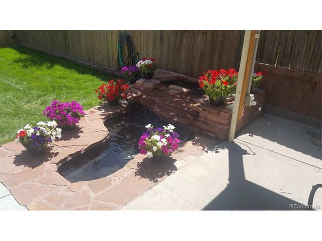 4786 Teller St, Wheat Ridge, CO 80033