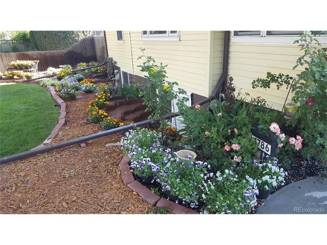 4786 Teller St, Wheat Ridge, CO 80033