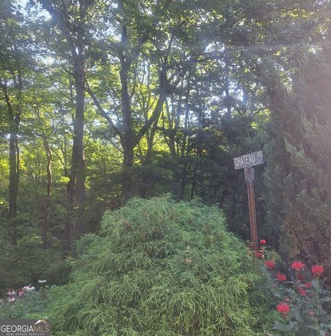 9 Cook Mountain Drive, Blairsville, GA 30512