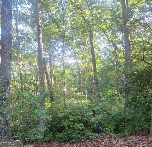 9 Cook Mountain Drive, Blairsville, GA 30512