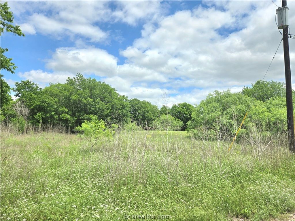 TBD Banks Street, Caldwell, TX 77836 — photo 3