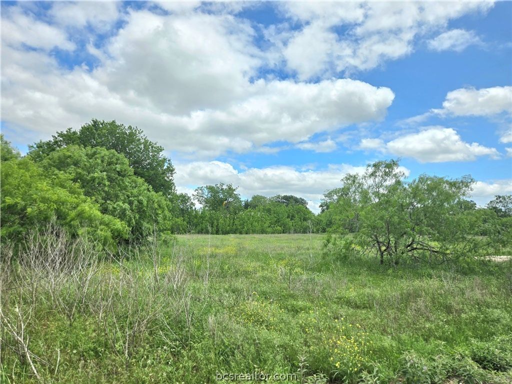TBD Banks Street, Caldwell, TX 77836 — photo 4