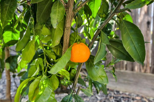 2516 Gladwin Way, El Dorado Hills, CA 95762