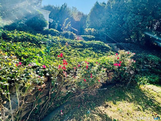 253 Kneeland Road, New Haven, CT 06512