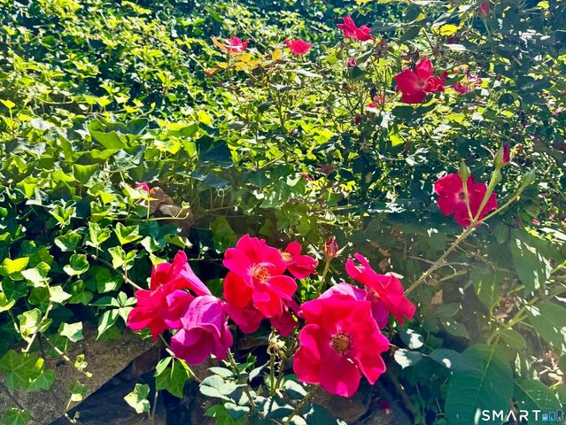 253 Kneeland Road, New Haven, CT 06512