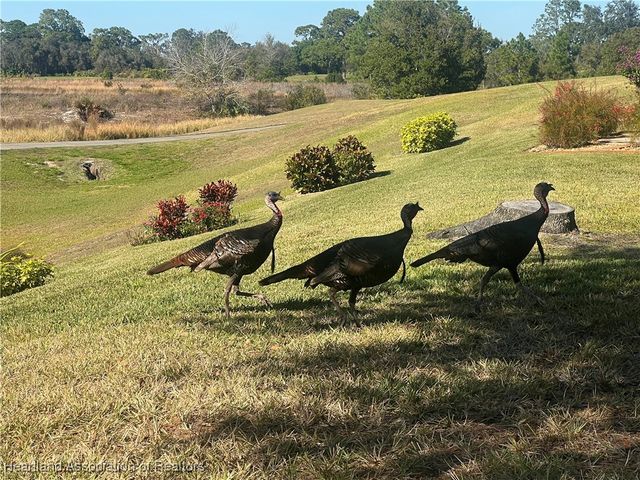 4505 Birdies Court, Avon Park, FL 33825