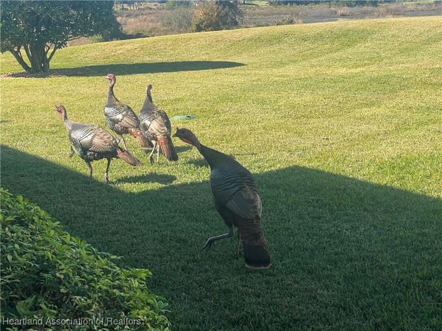 4505 Birdies Court, Avon Park, FL 33825