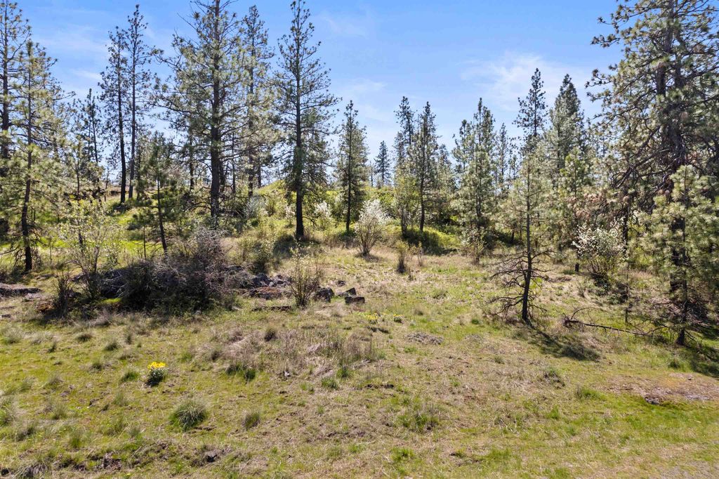 3801 W Grandview Ave, Spokane, WA 99224 photo 15