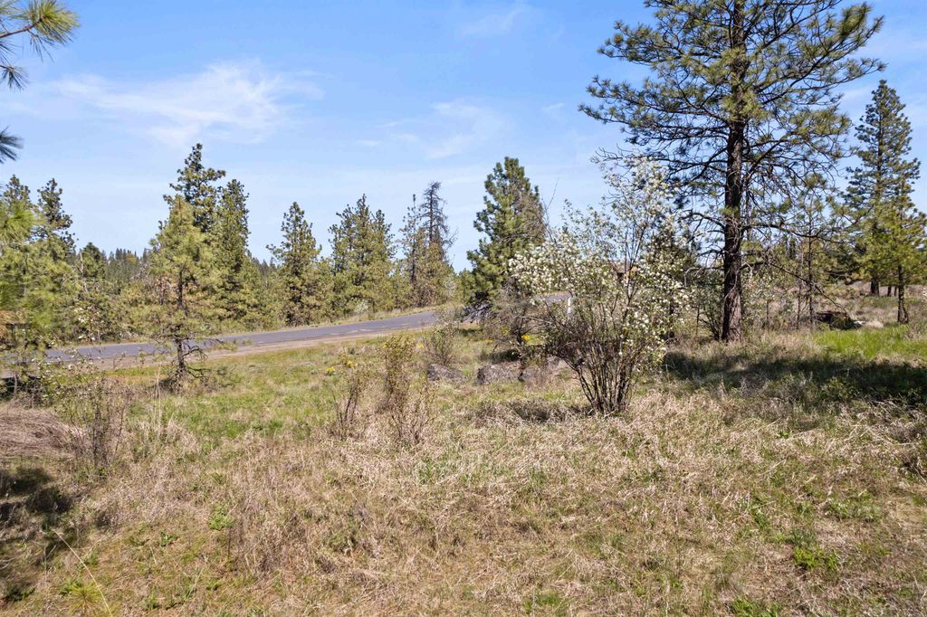 3801 W Grandview Ave, Spokane, WA 99224 photo 6